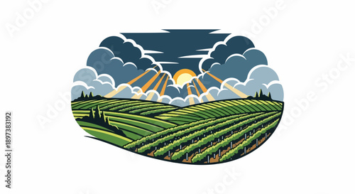 Stylized illustration of a vineyard landscape with green hills under a sky with sun rays breaking through clouds