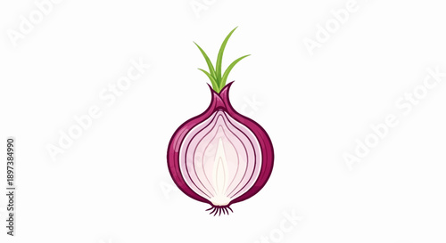 Vibrant illustration of a red onion, halved vertically, revealing concentric layers, with green sprouts and roots