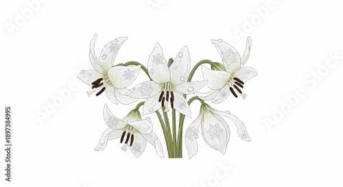 White, lily-like flowers with snowflake patterns and dewdrops, supported by green stems on a white background