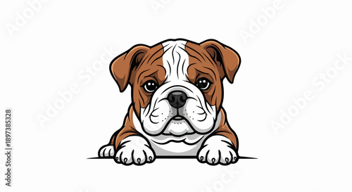 Cute cartoon bulldog puppy with brown and white fur peeking over a ledge on a white background