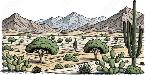 Hand-drawn desert landscape with various cacti, trees, shrubs, and mountains under a clear sky