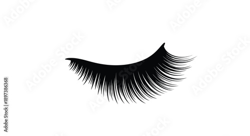 A single black eyelash isolated on a plain white background