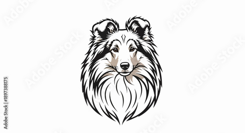 Illustration of a beautiful long-haired dog's head with expressive eyes and a fluffy mane on white