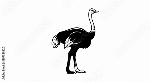 Stylized black and white illustration of an ostrich in profile, standing on a plain background