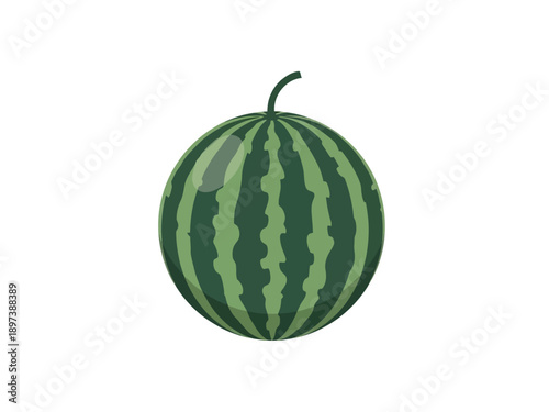 A vibrant green watermelon with dark green stripes is centered in the image, illustration, studio view