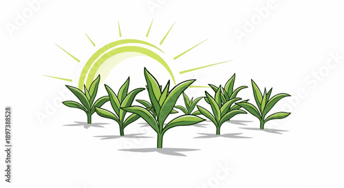 Illustration of green leafy plants growing in rows with a stylized sun shining above them