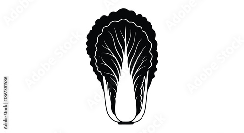 Stylized black and white illustration of a napa cabbage head on white