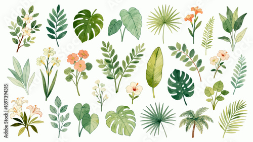 Illustrated tropical plants and flowers