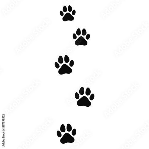 Detailed black silhouette paw print trail graphic design element illustrating the sequential walking path or tracks left behind by a large canine or wild animal predator
