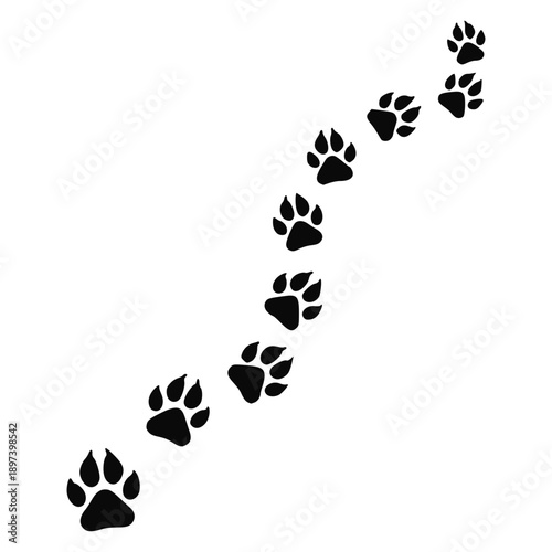 Detailed sequence of dark, stylized canine paw prints tracking diagonally upward across a stark black background, illustrating a solitary animal's trail or wildlife movement sign.