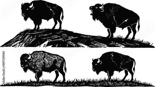 silhouettes of four bison standing and roaring on grassy mounds in black and white