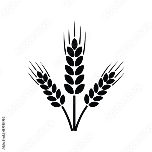 Wheat ear grain agriculture vector icon