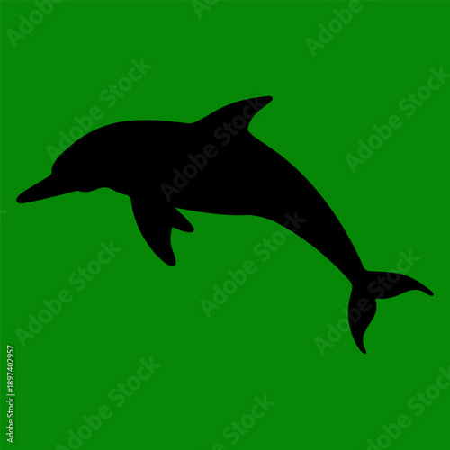 A creative vector Silhouette of a jumping dolphin filled with stars and sparkles green background