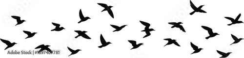 Flock of flying bird silhouettes isolated on white background, minimal nature wildlife concept showing freedom, migration, motion, and elegant avian shapes in flight