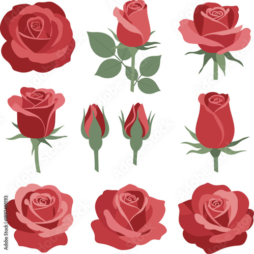 Collection of elegant red rose elements with blooming flower heads and delicate rosebuds isolated