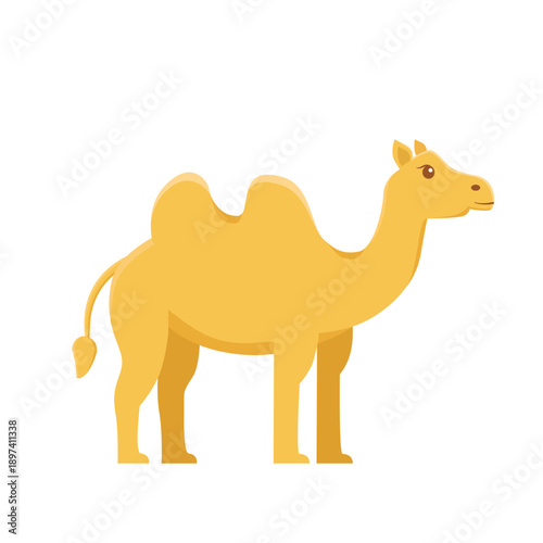 Camel vector. camel cartoon. camel iilustration