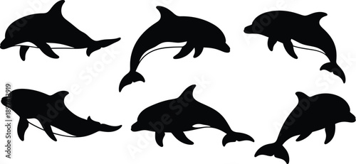Collection of Dolphin Silhouettes