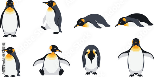 Set of Cute Emperor Penguin Vector Characters in Various Poses Including Standing, Walking, Sleeping, and Sitting for Wildlife Education and Children Graphic Designs