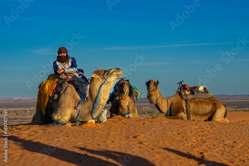 Urlaub in Marokko, in der Sahara, Wüste Erg Chebbi bei Erfoud: Faszinierende Dünenlandschaft mit Kamelen, Dromedaren, Wüstenwanderungen, Quads, Sonnenuntergang, Sonnenaufgang