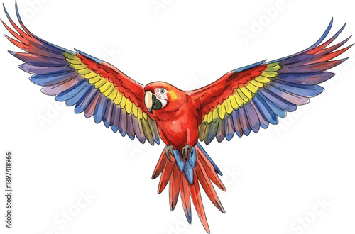 Vibrant watercolor illustration of a scarlet macaw in flight with wings spread, showcasing colorful feathers