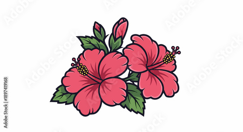 Vector illustration of two vibrant pink hibiscus flowers with green leaves and closed buds on white
