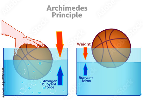 Archimedes principle, diving into the depths. Basketball ball in water, sea density. Hand press force, stronger buoyant. Different floating sinking balance, Transparent fluid. Illustration vector 