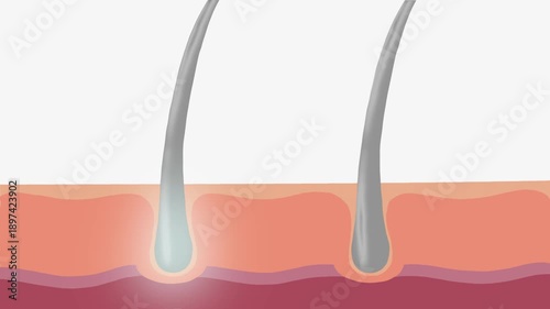 Applying serum drops to reverse grey hair 4k animation, organic content