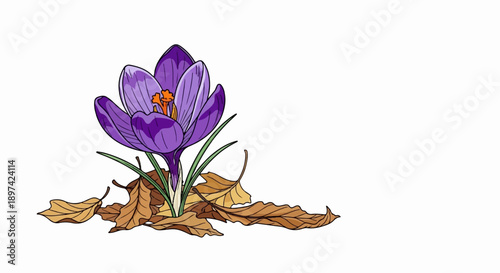 A single purple crocus flower with green stems emerges from a bed of fallen brown leaves
