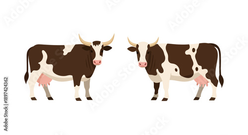 Cows Image, Photography, Farm Animals, Livestock, Dairy, Agriculture, Rural, Vector Style Graphic