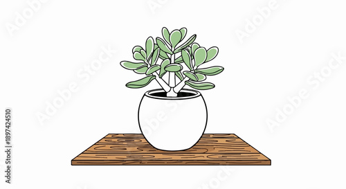 A stylized green succulent plant in a white pot rests on a wooden plank shelf