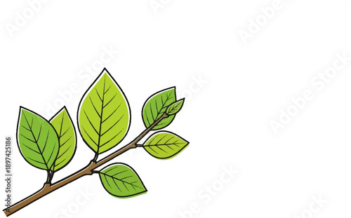 A simple illustration of a branch with vibrant green leaves on a white background