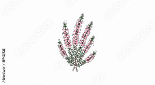 Delicate pink heath blossoms cluster with green foliage, rendered in a loose, artistic watercolor style