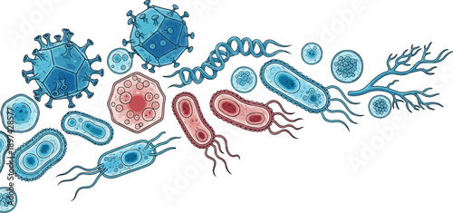 Diverse microscopic organisms, including bacteria, viruses, and other cellular structures, are illustrated in a scattered arrangement