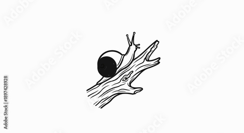 A black and white illustration of a snail crawling on a rough tree branch