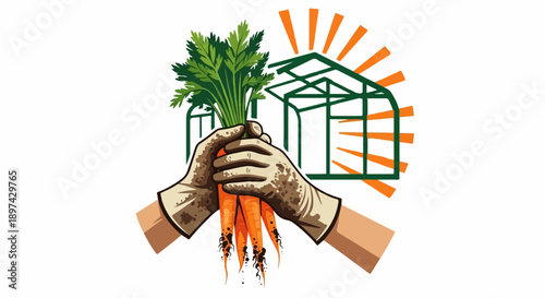 Hands in dirty gloves hold fresh carrots in front of a greenhouse with radiating lines