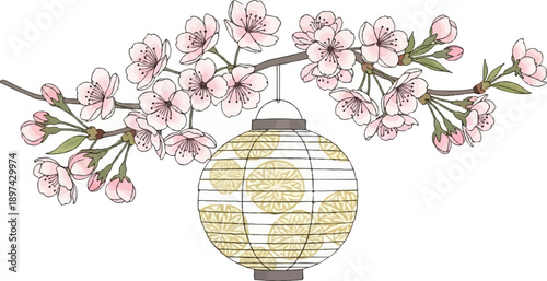 Delicate pink blossoms adorning a branch above a patterned lantern