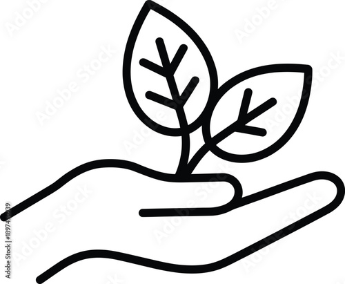 Hand holding plant sprouts with leaves, concept of growth and nature care