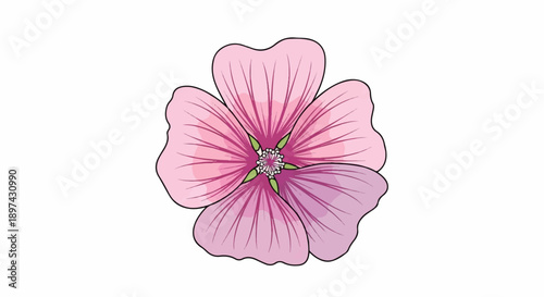 A single stylized pink and purple flower with five petals and a detailed center