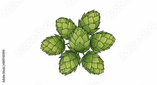 A circular arrangement of seven green hops