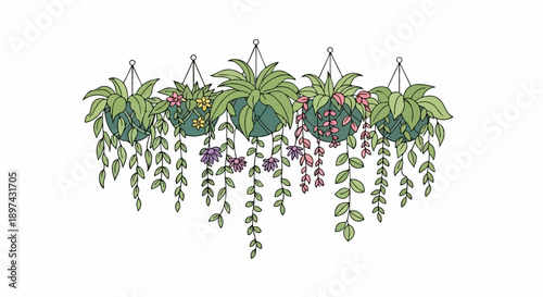 Five hanging planters with lush green foliage and delicate blooms cascade downwards