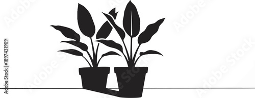 Two silhouette potted plants with broad leaves
