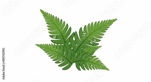 Vibrant green fern fronds adorned with glistening water droplets against a pristine white background