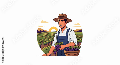 A smiling farmer wearing a hat and overalls is picking grapes in a vineyard at sunset