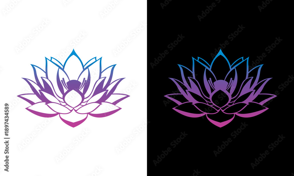 Obraz premium Lotus flower illustration in purple and blue hues on contrasting white and black backgrounds showcasing serene beauty from a direct viewpoint