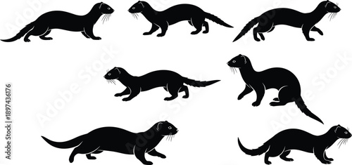 Black ferret and weasel silhouette collection, wild mink and otter animal elements set, woodland predator bundle for nature park and wildlife design,
