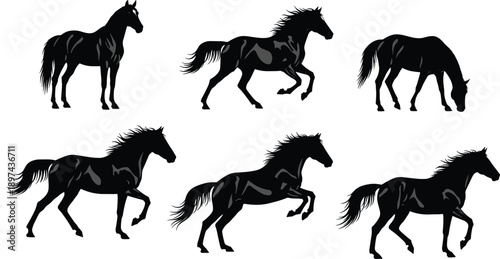 Black horse silhouettes in various poses, galloping and jumping stallion collection, equestrian animal elements set, wild mustang bundle for ranch and nature design,