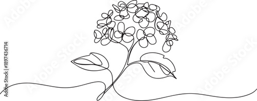 Single continuous line drawing beauty fresh hortensia for home wall decor art poster print. Decorative hydrangea flower concept. one line Icon drawing