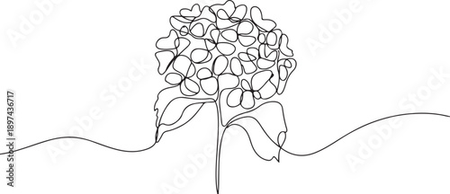 Single continuous line drawing beauty fresh hortensia for home wall decor art poster print. Decorative hydrangea flower concept. one line Icon drawing