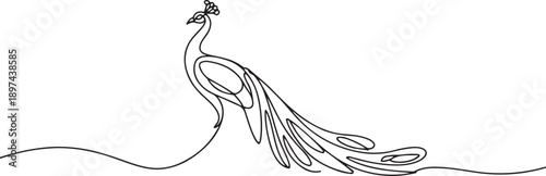 Single continuous line drawing of pretty peacock for company logo identity. Large beauty bird mascot concept for pet lover club icon. one line Icon drawing