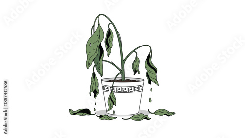 Dying indoor houseplant with drooping green leaves in a decorated white ceramic pot sits on a surface with fallen dry foliage.